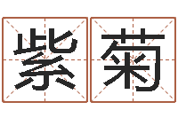 隋紫菊上海还受生债后的改变-电影择日