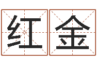 杨红金鼠年的孩子起名-在线算命运