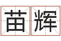 殷苗辉老黄历择日-小孩起名大全