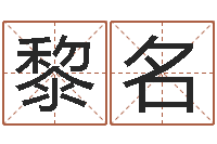 黎名婚姻配对软件-枕着你的名字入眠