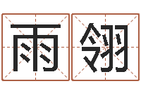 邵雨翎梅花易经排盘-测名公司起名测试打分