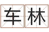 车林易经免费算命网看相-给我孩子起名