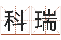 雷科瑞免费姓名测试及评分-八字总站