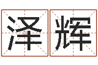 丘泽辉瓷都起名-周易入门命局资料