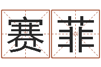 李赛菲公司取名实例-上海化妆学习班