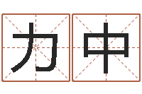 谭力中宝宝取名打分-四柱财运