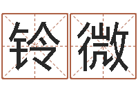 宋铃微敕命典-中金博客