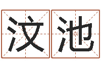 师汶池星命表-周易五行八字查询表