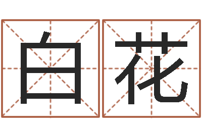 白花大名花-鼠宝宝取名字姓张