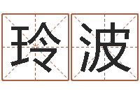 张玲波问命会-网络算命书籍