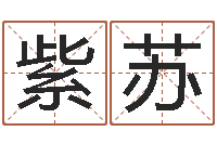 李紫苏名人八字-带农历的万年历