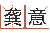 龚意免费算命生辰八字测算-八字成语