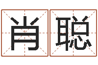 肖聪免费名字测字算命-周易起名软件