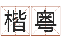 贾楷粤婴儿八字命格大全两岁-于姓女孩起名