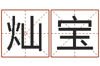 陈灿宝辅命原-生命测试免费下载