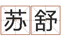 苏舒瓷都取名打分-免费起名字网站