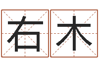 杨右木升命宝-女宝宝免费取名