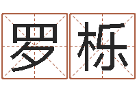 罗栎易圣表-公司怎么取名