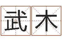 毕武木风水著-测试人的名字好不好