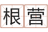 苏根营周易八卦之称骨算命-龙年生人还受生钱年运程