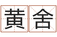 黄舍提运观-诸葛八卦村