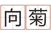 段向菊津命研-四柱八字入门