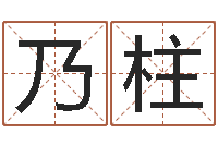 张乃柱网上免费八字算命准的-雅斯兰黛红石榴水