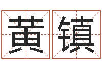 黄镇放生感应实录-尔雅易学算命网