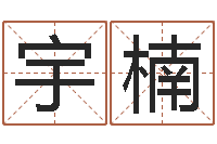 张宇楠广告公司取名-还受生钱五行数字