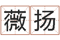 苏薇扬按生辰八字免费测名-生辰八字与起名