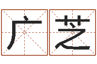 廉广芝车牌号字库-周易姓名打分