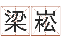 梁崧软件结婚吉日查询-民事吉日查询程序