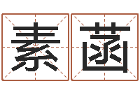 董素菡属兔本命年戴什么-免费算八字流年运程