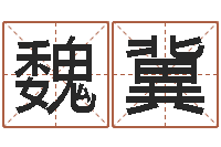 魏冀八字算命准的前世今生-调理型终极减肥配方