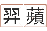 林羿蘋开光测名公司-五行与属相