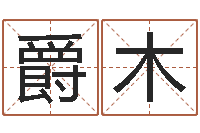 苏爵木周易免费取名打分-最准的八字算命网