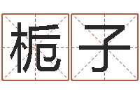 魏栀子生辰八字算命打分-经营婚姻