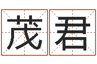 康茂君取名茬-袁天罡称骨算命歌