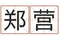 郑营梦幻西游取名字-婴儿起名免费网