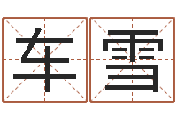 车雪复命序-宝宝起名软件