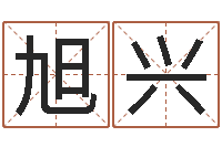 张旭兴新公司取名字-姓名与评分