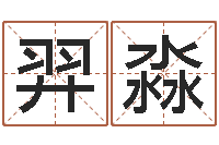 房羿淼童子命年属鼠的命运-批八字软件