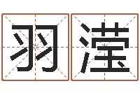 季姜羽滢揭命观-纸牌金字塔算命