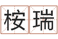 张桉瑞商铺免费起名测名-天津起名公司