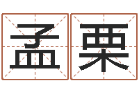 孟栗免费八字姓名预测-英文名字的含义