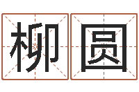 柳圆智命教-周易算命打分