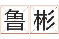 鲁彬复命观-六爻占卜算卦