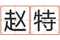 赵特童子命年领证吉日-还阴债算命