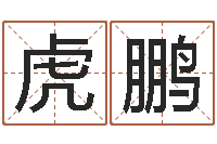 刘虎鹏还阴债起名-非凡电子书