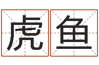 陈虎鱼电脑算命-还受生钱属蛇流年运程